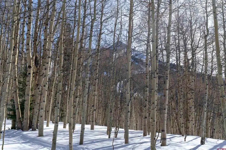 Lot F 20 Prospect Drive, Mount Crested Butte, CO 81225 - #3