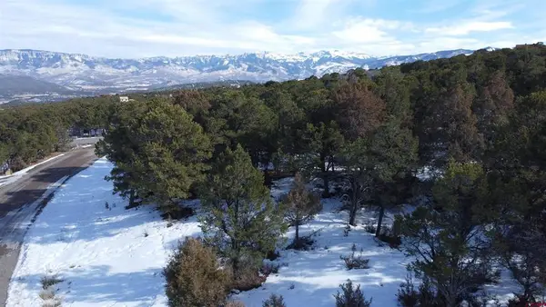 30 Pinon Road W, Ridgway, CO 81432