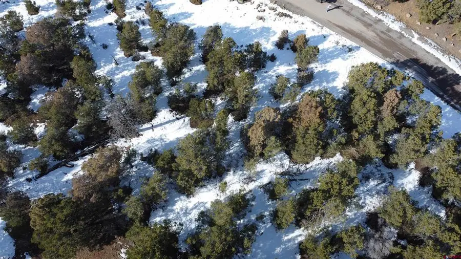 30 Pinon Road W, Ridgway, CO 81432 - #2