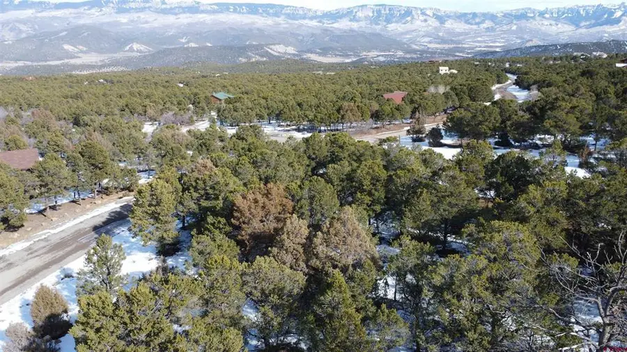 30 Pinon Road W, Ridgway, CO 81432 - #3