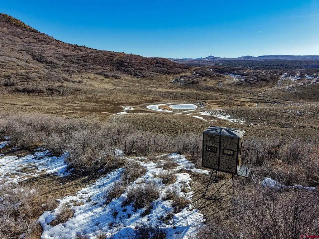 36681 Road M.5 Bugle Basin, Cahone, CO 81320 - #1