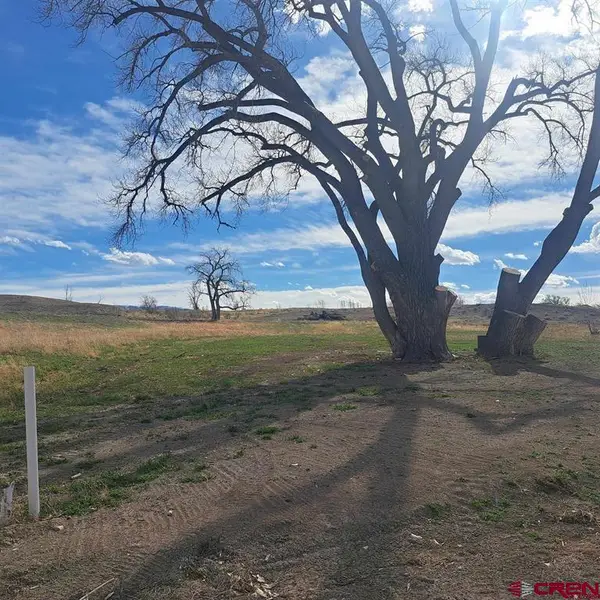 3803 Aspen Grove Lane, Montrose, CO 81401