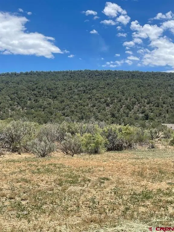 745 SE Pinyon Street, Cedaredge, CO 81413 - #1
