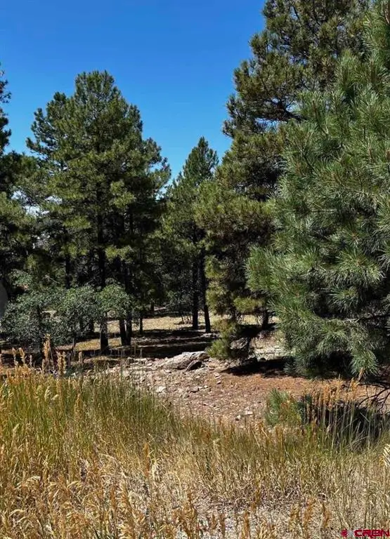 124 Woodridge Circle, Pagosa Springs, CO 81147 - #2