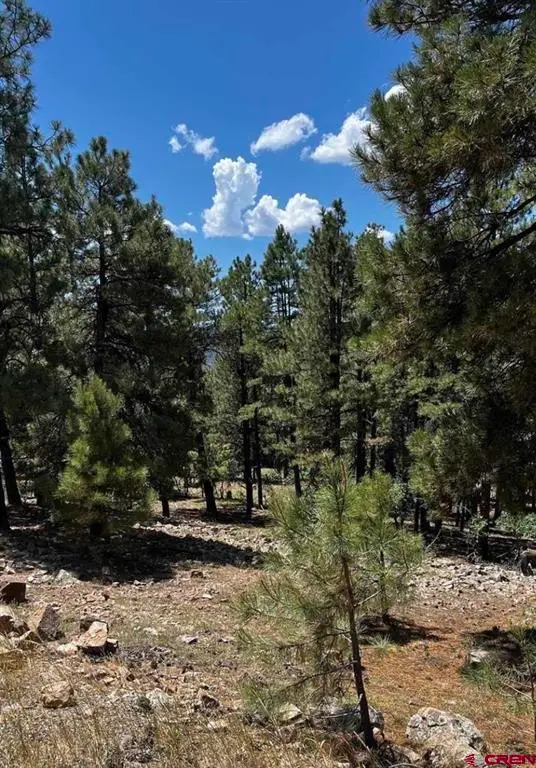 144 Woodridge Circle, Pagosa Springs, CO 81147 - #2