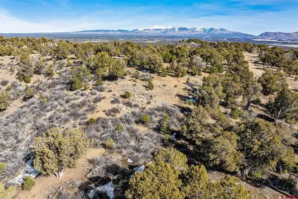 TBD Road 35.3, Mancos, CO 81328
