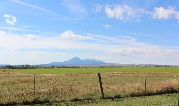 TBD Road W.8, Tract 4, Lewis, CO 81327