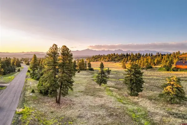 350 Bristlecone Drive, Pagosa Springs, CO 81147