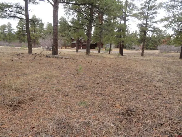 674 Oxbow Circle, Pagosa Springs, CO 81147