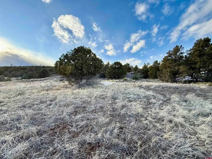 74 Ann Way, South Fork, CO 81154 - #2
