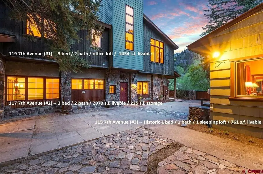 115, 117 & 119 7th Avenue, Ouray, CO 81427 - #3