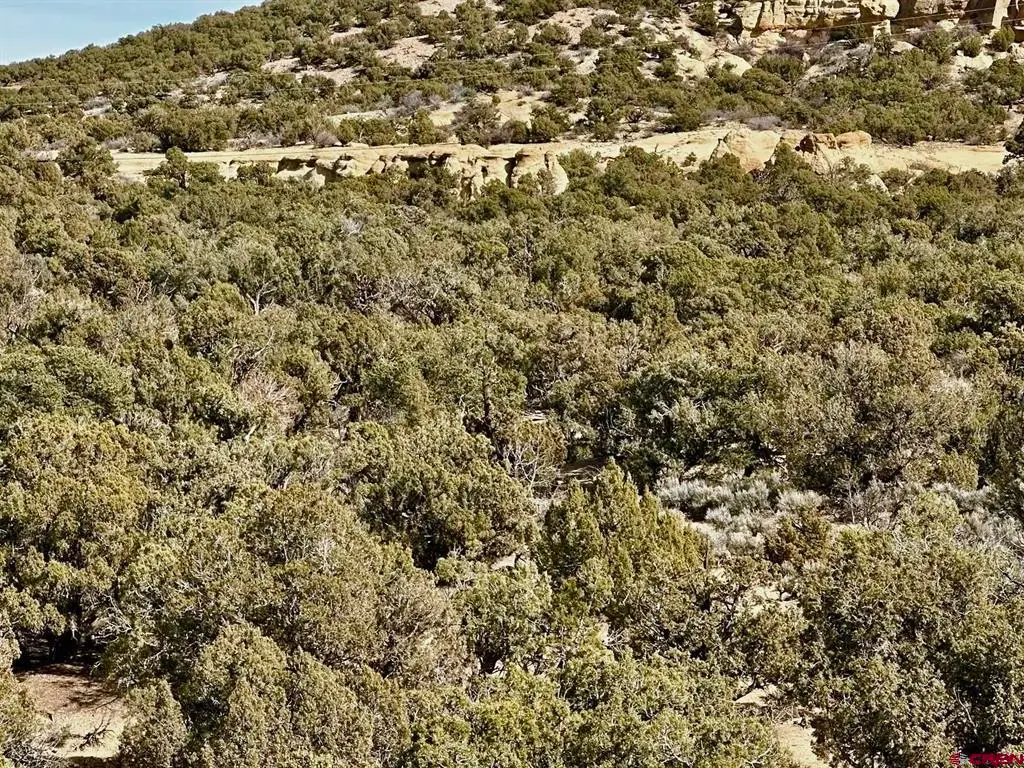 000 Cr 2550 Road, Aztec, NM 87410 - #1