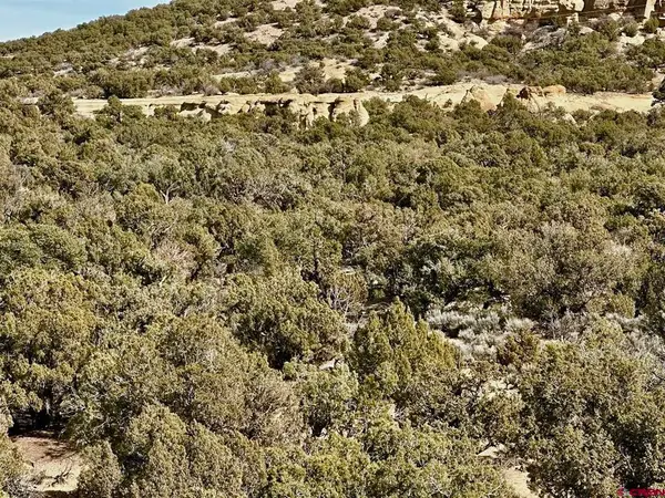 000 Cr 2550 Road, Aztec, NM 87410