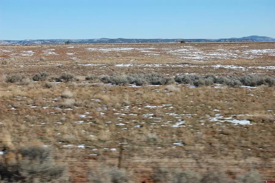 5748 County Road 134, Hesperus, CO 81326 - #3