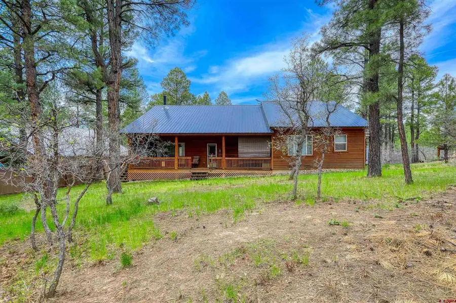 803 Twin Creek Circle, Pagosa Springs, CO 81147 - #2