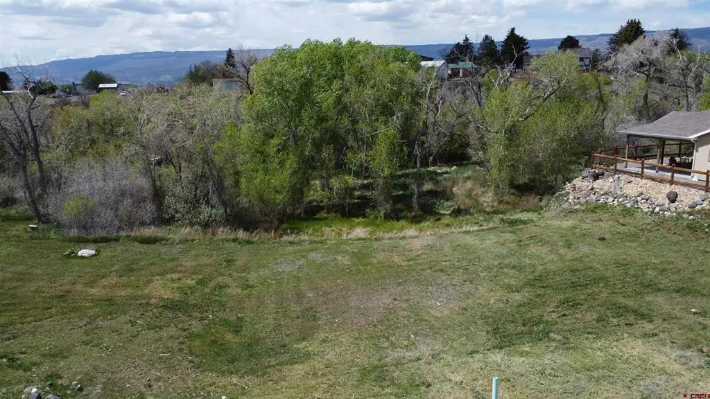 720 SE Stonebridge Drive, Cedaredge, CO 81413 - #1