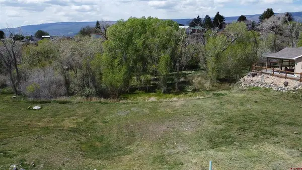 720 SE Stonebridge Drive, Cedaredge, CO 81413