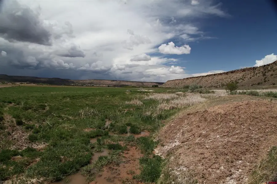 TBD Lot 2 Shavano Valley Rd, Montrose, CO 81403 - #2