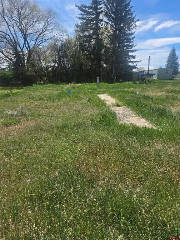 TBD Naturita Street, Norwood, CO 81423 - #1