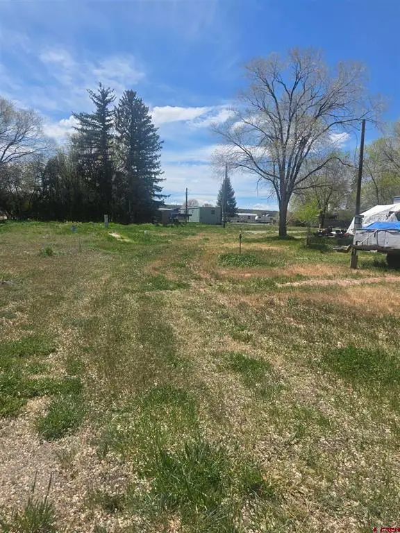 TBD Naturita Street, Norwood, CO 81423 - #2