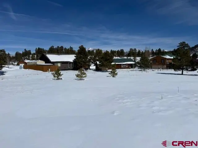 31 Warbler Court, Pagosa Springs, CO 81147 - #3