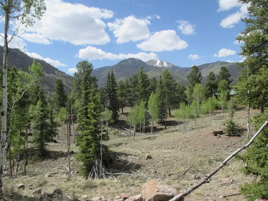 1361 Cedar Drive, Lake City, CO 81235 - #2