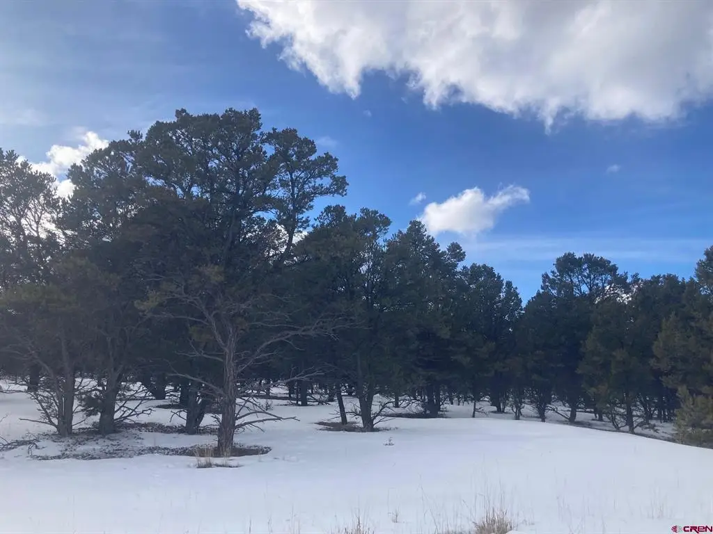 Lot 2 (TBD) Snowberry Lane, Ridgway, CO 81432 - #1