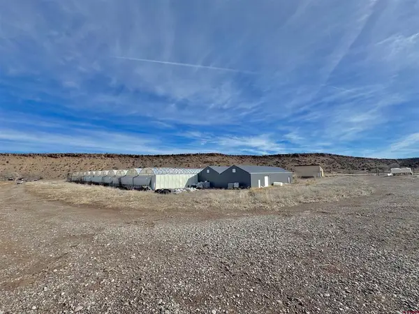 16267 Shavano Valley Road, Montrose, CO 81403