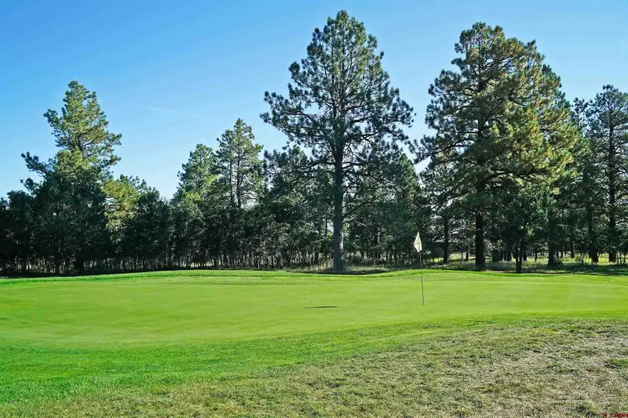 1325 Marmot Drive, Ridgway, CO 81432 - #3