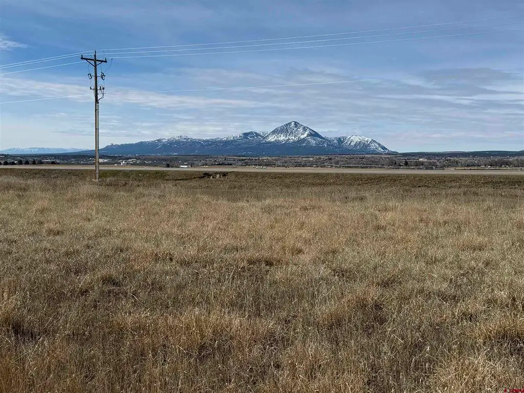 Tbd Road, Dolores, CO 81323 - #1