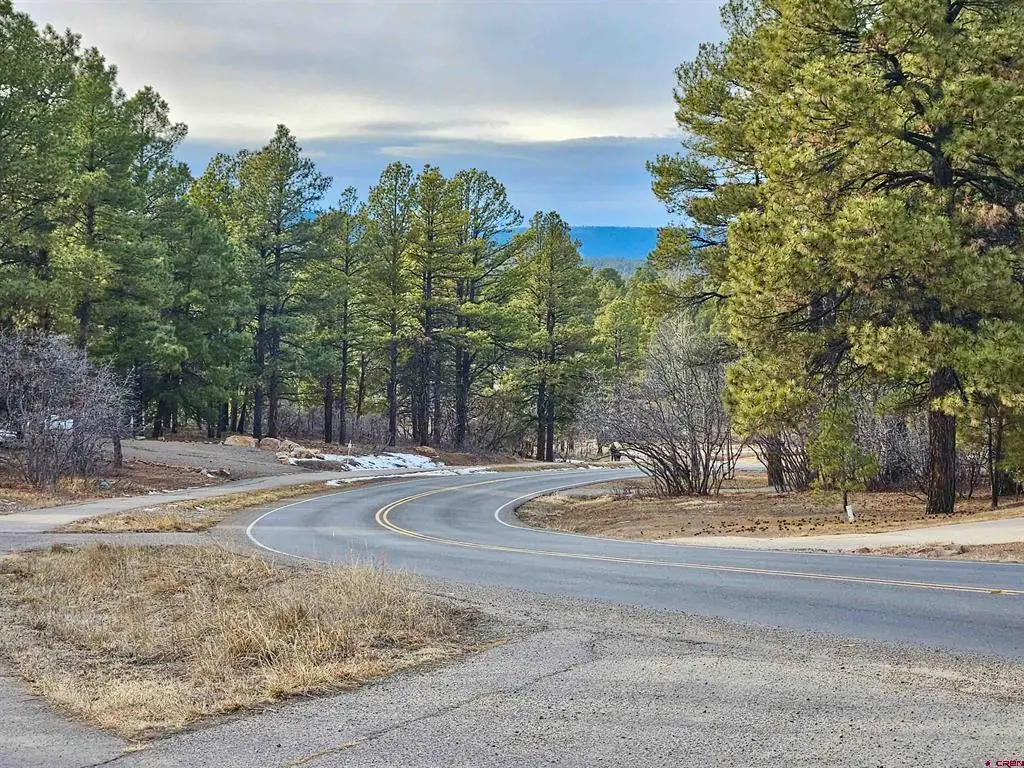 458 Antelope Avenue, Pagosa Springs, CO 81147 - #1