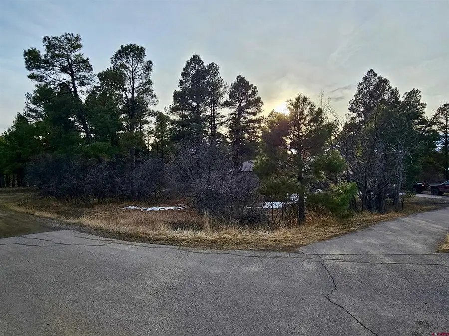 458 Antelope Avenue, Pagosa Springs, CO 81147 - #2