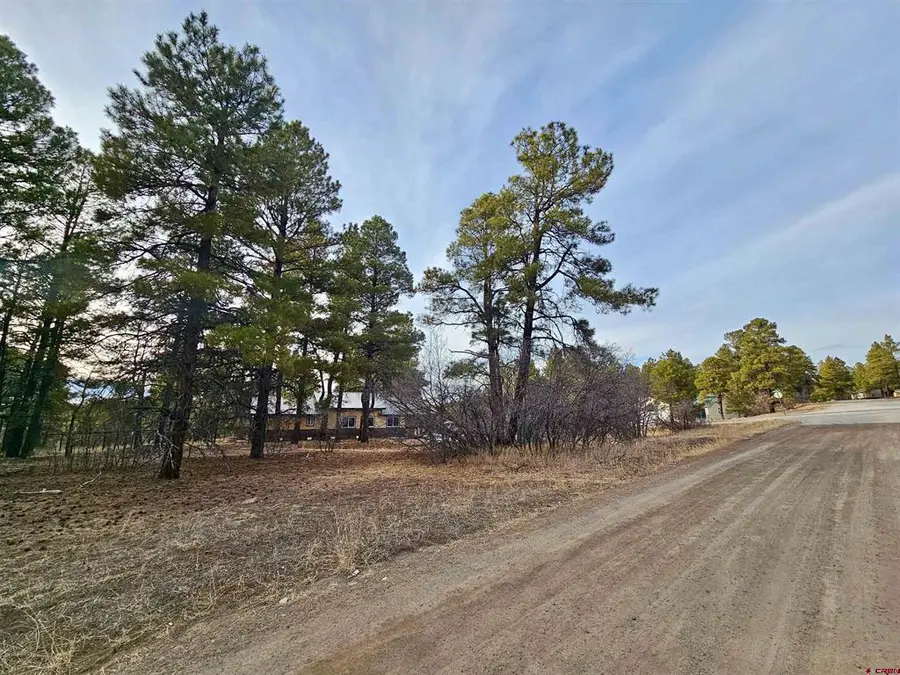 458 Antelope Avenue, Pagosa Springs, CO 81147 - #3