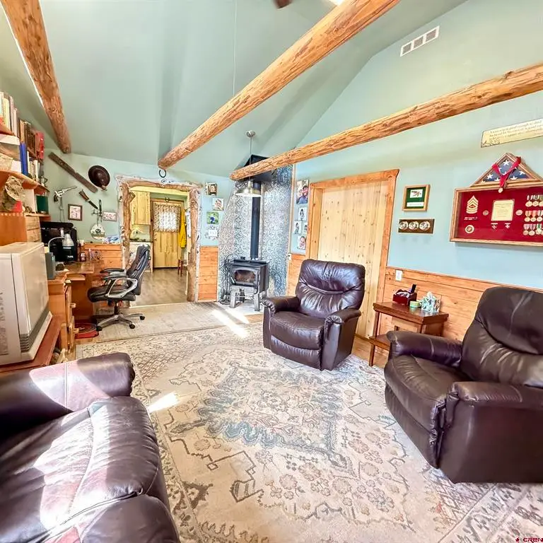 701 N Gunnison Ave, Lake City, CO 81235 - #2