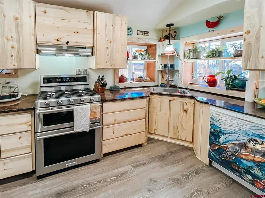 701 N Gunnison Ave, Lake City, CO 81235 - #3