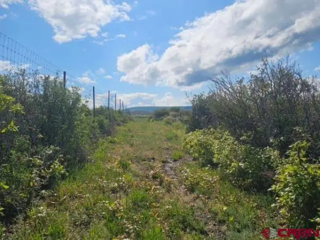 TBD 8250 Road, Crawford, CO 81415 - #1