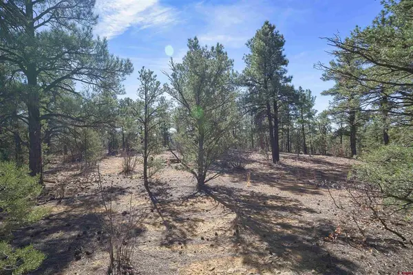 TBD Rancho La Garita Lot 1129, Weston, CO 81082