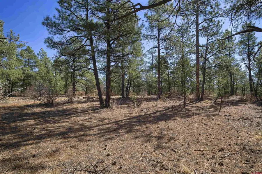 TBD Rancho La Garita Lot 1129, Weston, CO 81082 - #3