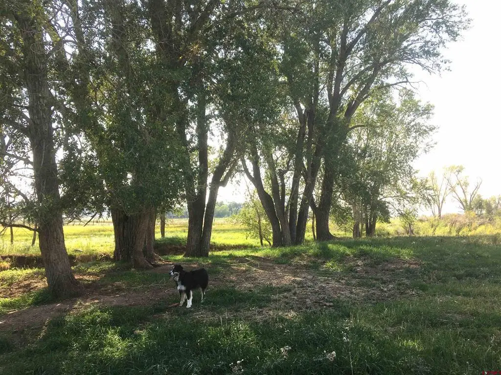 Unassigned County Road Y43, Norwood, CO 81423 - #1