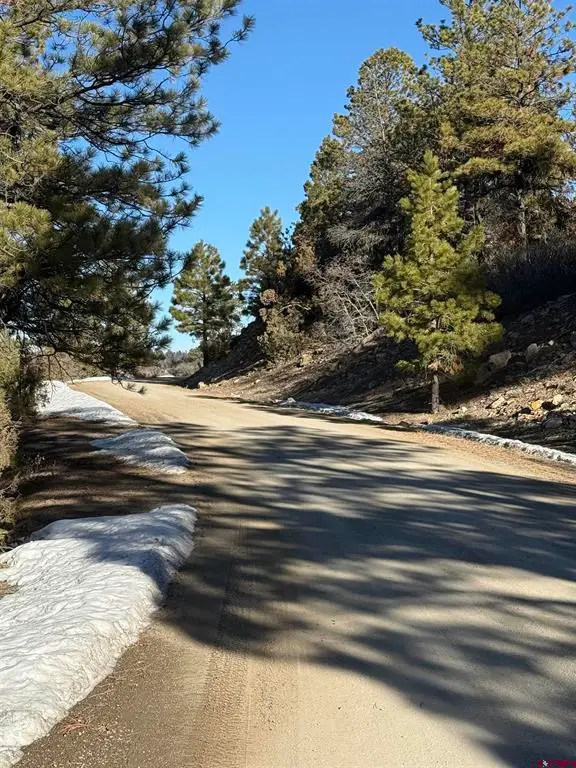 LOT 120 Green Meadow Lane, Placerville, CO 81430 - #3