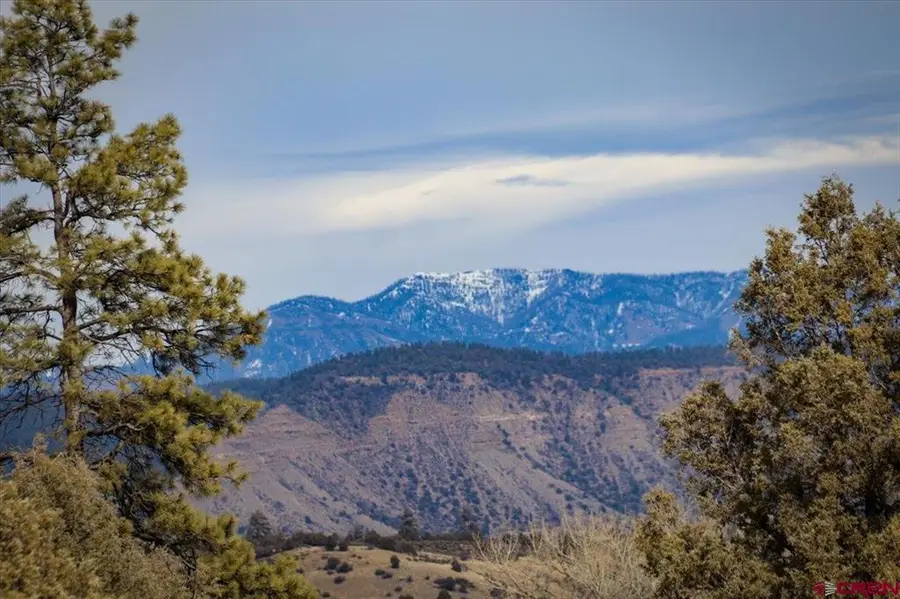 x County Rd 500, Pagosa Springs, CO 81147 - #3