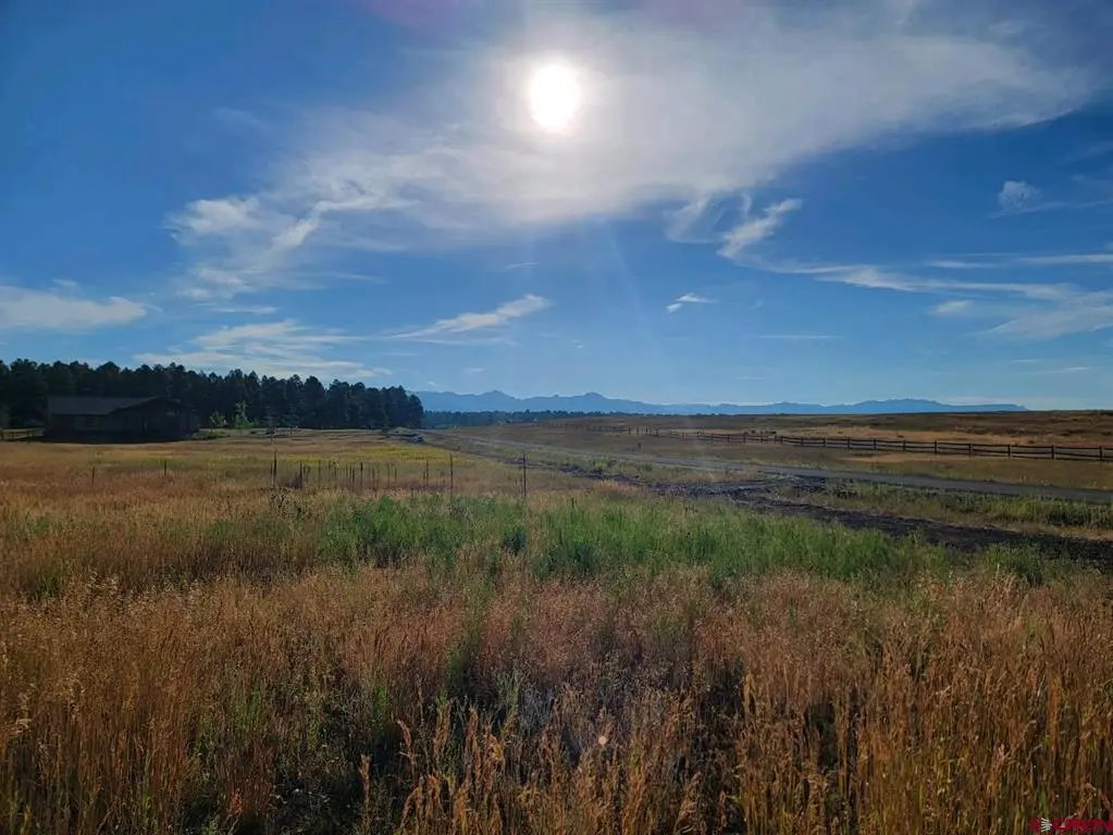1288 Antelope Avenue, Pagosa Springs, CO 81147 - #1