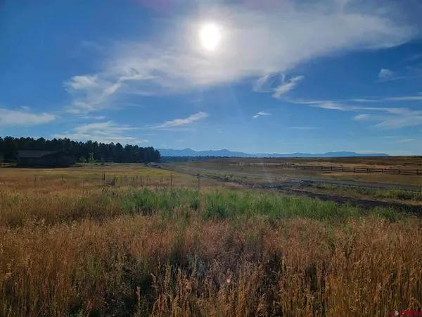 1288 Antelope Avenue, Pagosa Springs, CO 81147