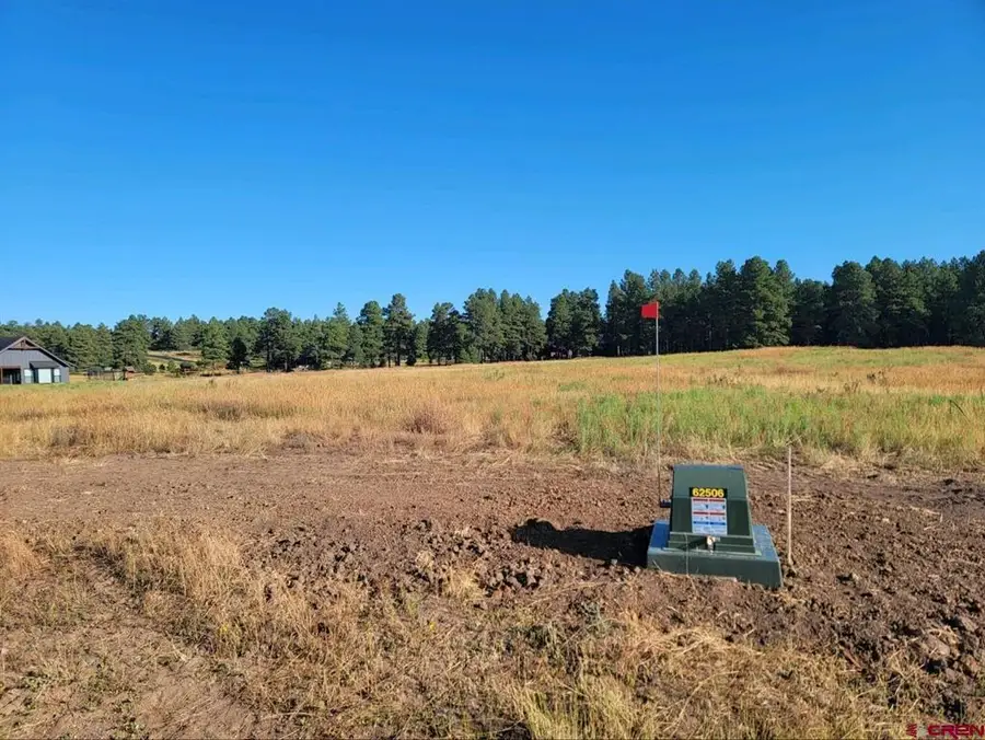 1288 Antelope Avenue, Pagosa Springs, CO 81147 - #3