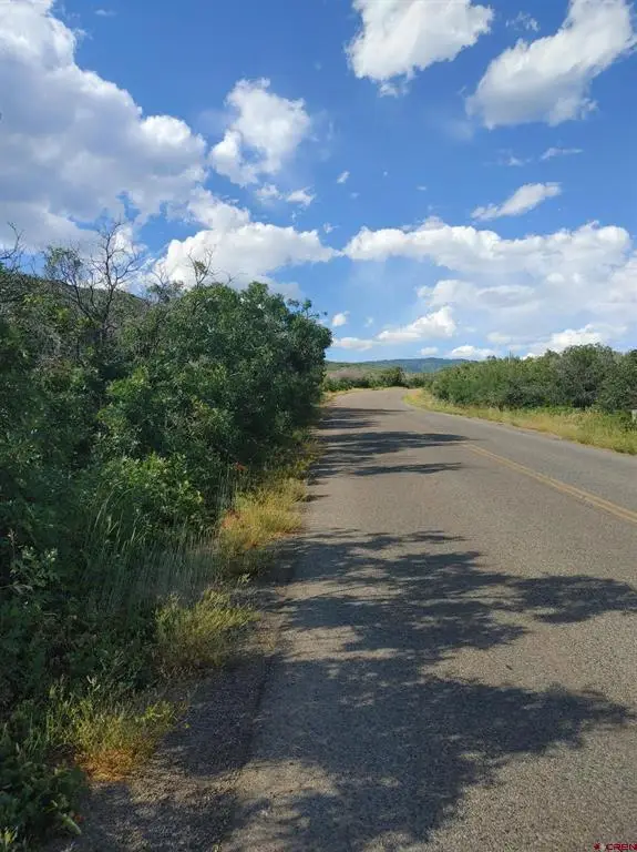 21501 Surface Creek Road, Cedaredge, CO 81413