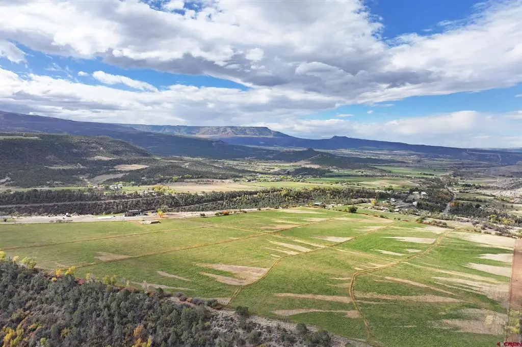 12482 54 7/10 Road, Molina, CO 81646 - #1