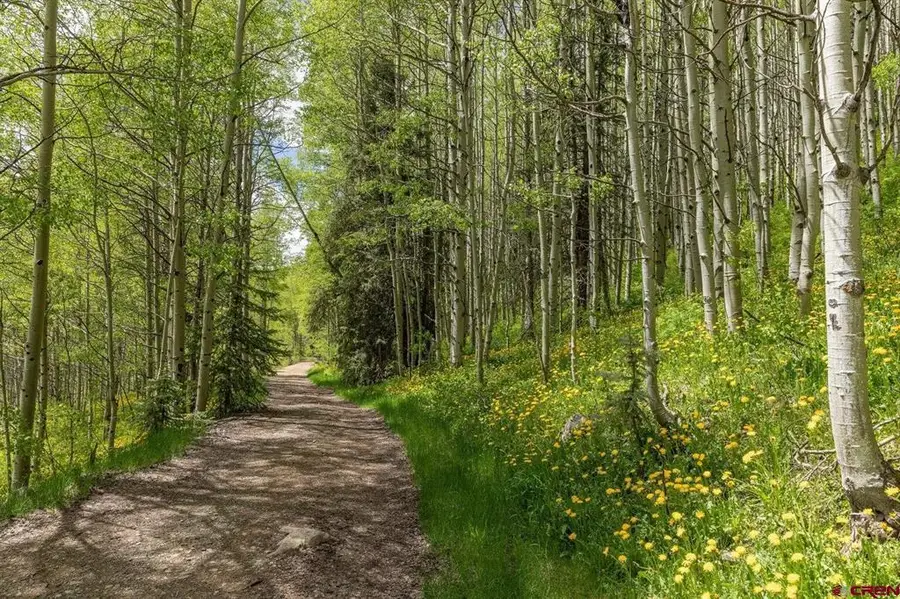 TBD Lot 5 Dolores River Trail, Rico, CO 81332 - #3