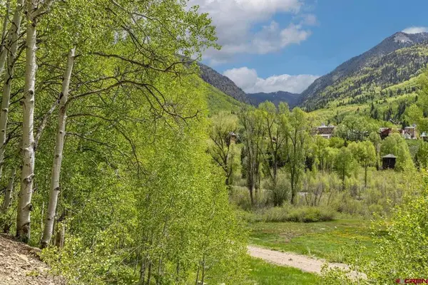 TBD Lot 1 Dolores River Trail, Rico, CO 81332