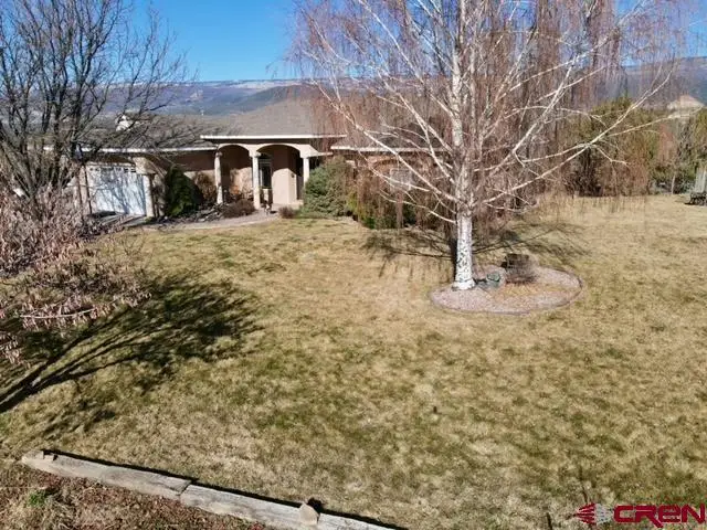 16609 Columbine Lane, Cedaredge, CO 81413 - #3