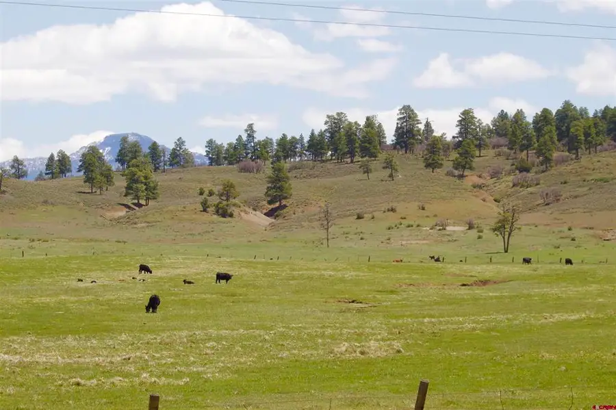 X Us Hwy 84, Pagosa Springs, CO 81147 - #3